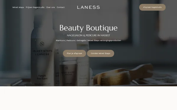 Website LaNess Studio
