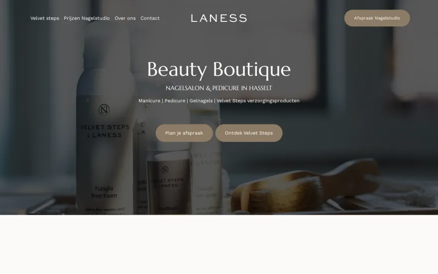 Website LaNess Studio